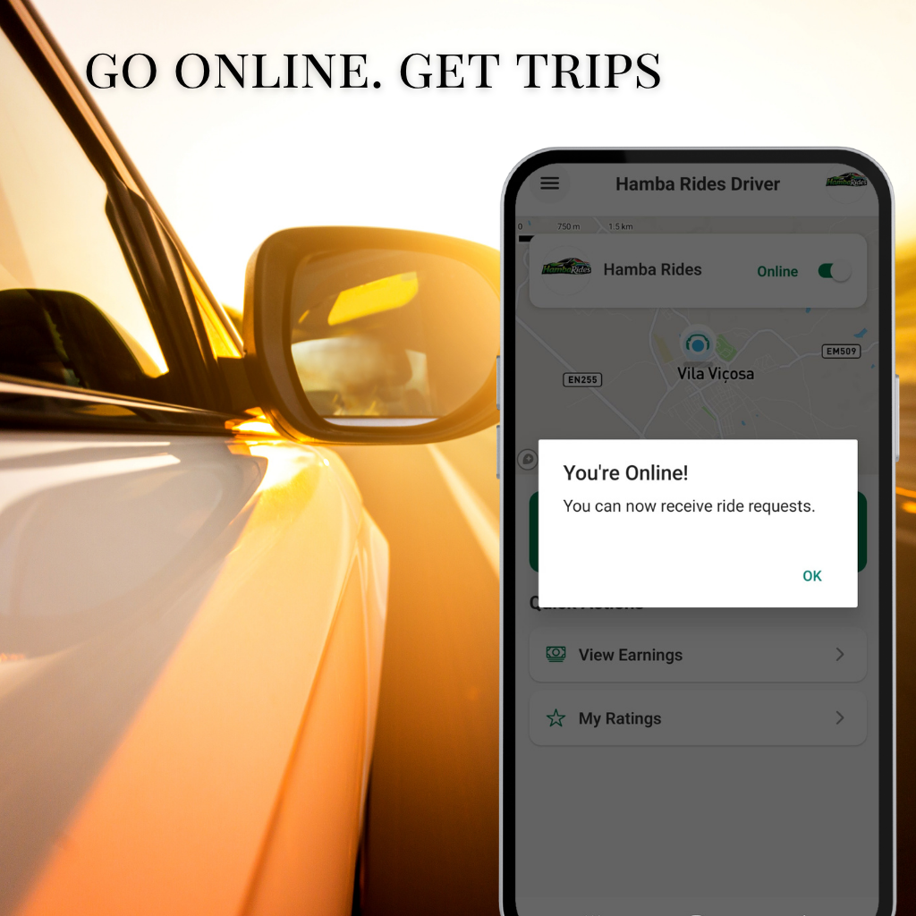 Driver goes online to receive trips